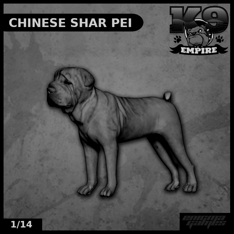 Chinese Shar Pei