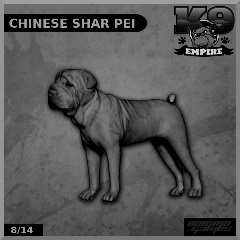 Chinese Shar Pei