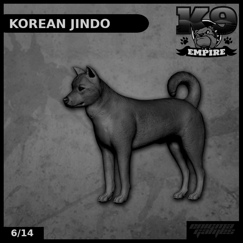 Korean Jindo