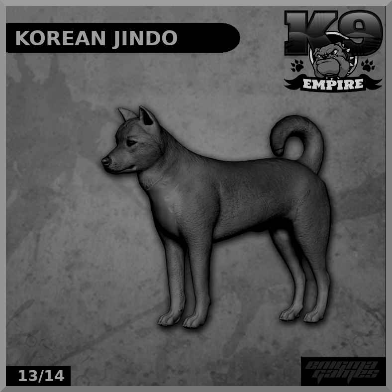 Korean Jindo